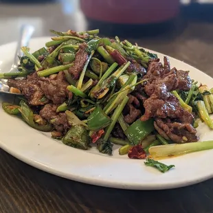 Stir fried spicy beef