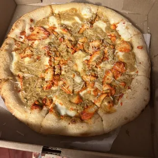 Chicken Biryani Pizza