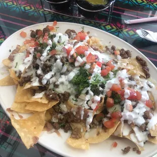 Asada nachos
