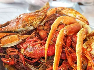 The Crab Station - The Colony