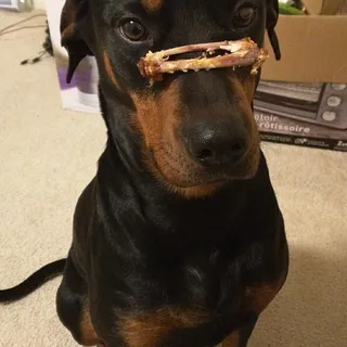 Sugar Salt Pepper P.