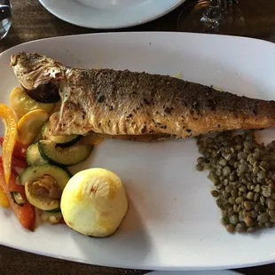 Sea Bass