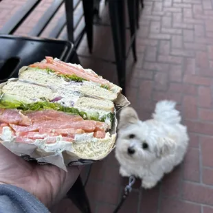 Lox, stock &amp; bagel with arugula