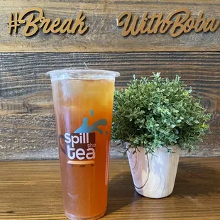 Dragon fruit paradise