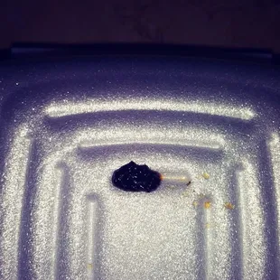Rat poop!