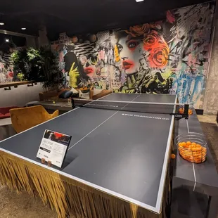 Ping pong table