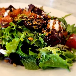 Beet and Burrata