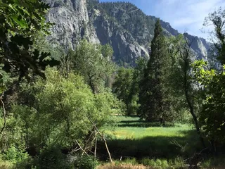Yosemite Valley Lodge