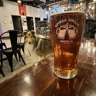 Beer