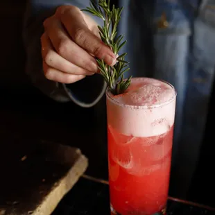 a person holding a sprig of rosemary