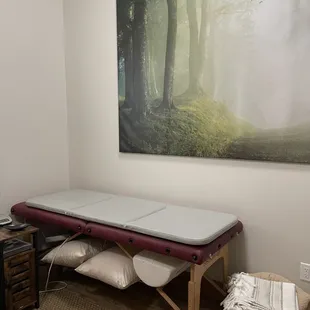 Try our IMRS mat which uses PEMF therapy to increase microcirculation, improve sleep, and reduce pain!