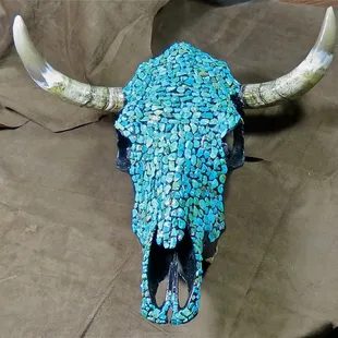 Genuine Turquoise Cow Skull
