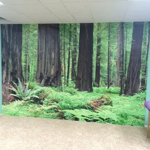 Our peaceful and comfortable classroom.