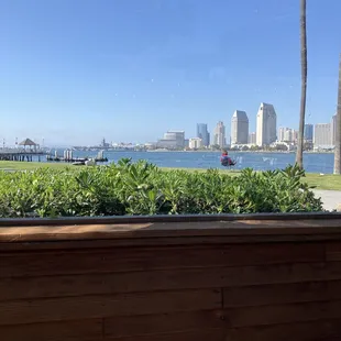 View from   patio