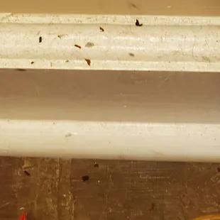 This place has BEDBUGS. Do not book. They bit my cusine and did not compensate us in a respectful way. BEDBUGS during Covid....not cool.