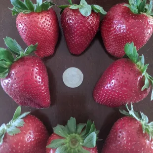 strawberries arranged in a circle