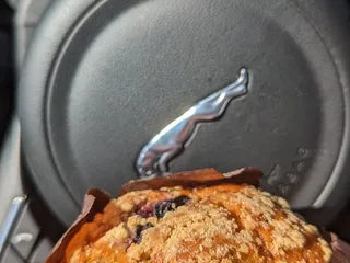 Java Vegas - Gold Coast