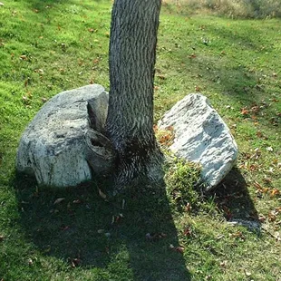 Right off #15 green, The rock the course is named after.