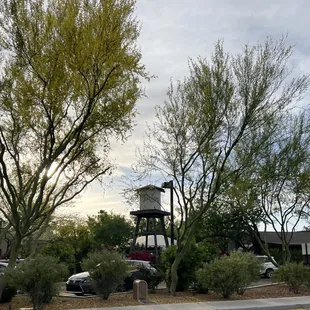 The Orchard, home of Splurge