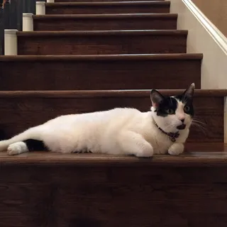 M M.