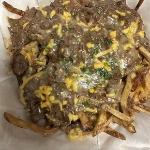 Short rib gravy fries