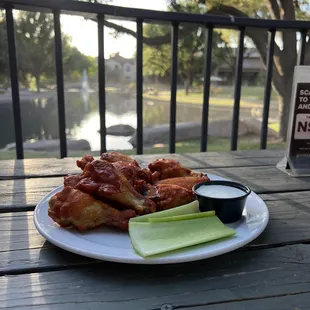 BBQ Hot Wings