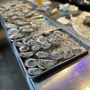 Gulf Oyster Fest