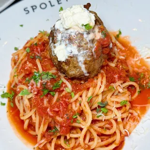 a plate of spaghetti and meatballs