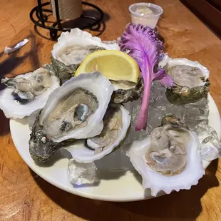 Raw Oysters