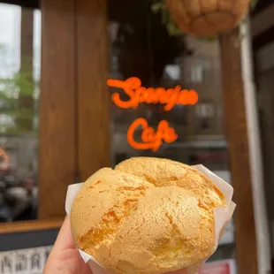 Original spongies
