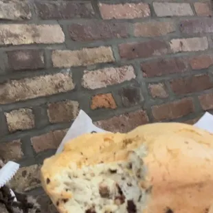Chocolate chip spongie