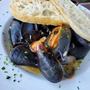 Fantastic mussles