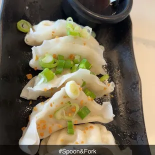 Dumplings super good!