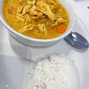 Yellow Curry with Chicken (12)