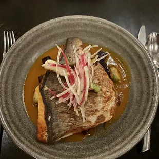 Mediterranean bream