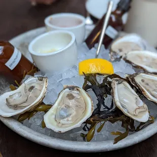 shellfish, oysters, mussels, food, oysters and mussels