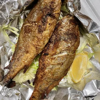 Yellow Corvina