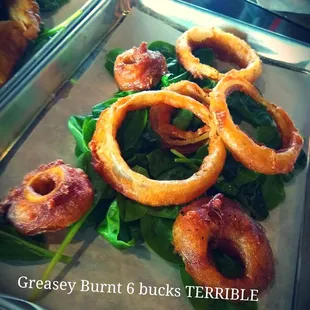 Terrible Burnt Greasey Small Onion Rings a 6 buck rip-off.