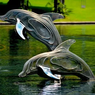 Dolphin Neurostim in Noe Valley neighborhood of San Francisco.