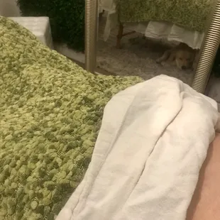 Massage is always better with your best friend.