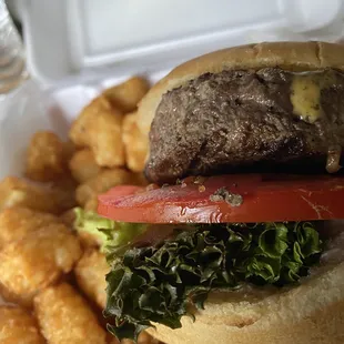 a hamburger and french fries