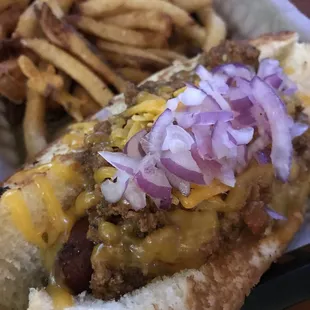coney dog with fries