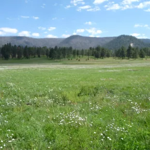This is the view out back. There was horses and other wildlife in the morning.