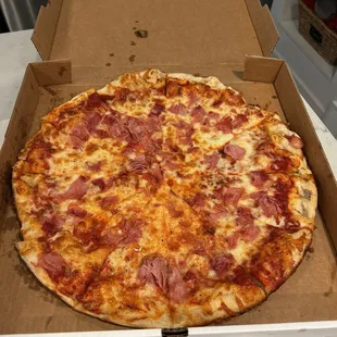 XL ham and cheese pizza. Delicious!