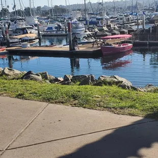 View of the docks from the table.