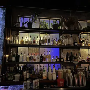 Spot Lite Detroit