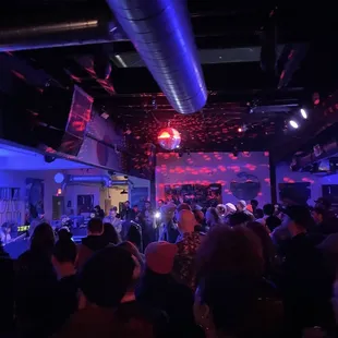 Will Sessions performing