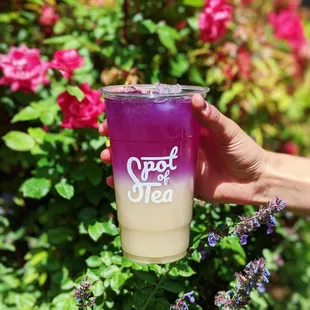 Lychee Lemonade (Summer '21 Seasonal)