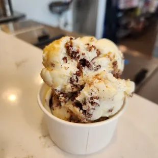 Spotty Dog Ice Cream