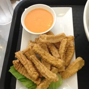 Tofu fries! Spicy aoli was great.